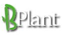 B-Plant